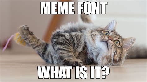 Meme Font What Is It And Why Do We Use It London Grey