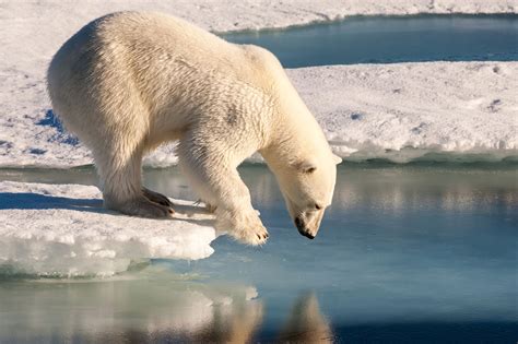 Zukunft der Arktis - „Zweite Wissenschaftsministerkonferenz zur ...