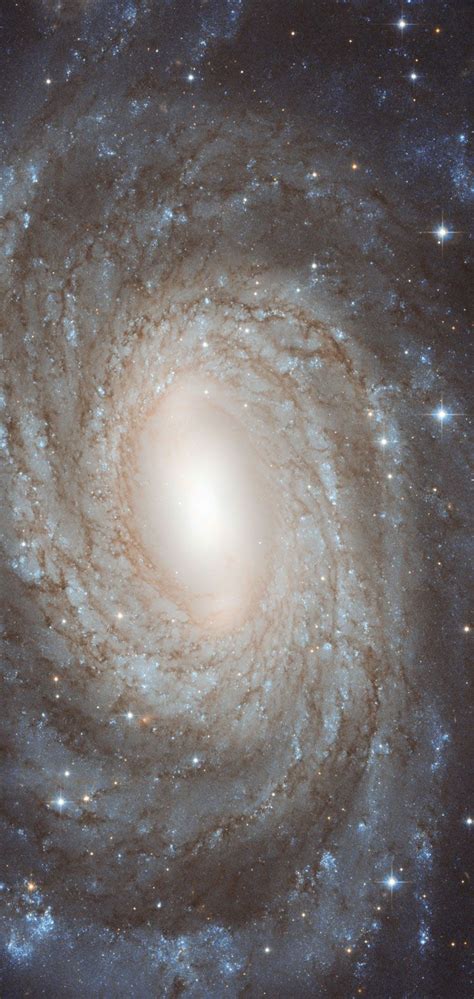 Hst Image Of Nucleus Of Spiral Galaxy Ngc 6384 Galaxies Hubble Space