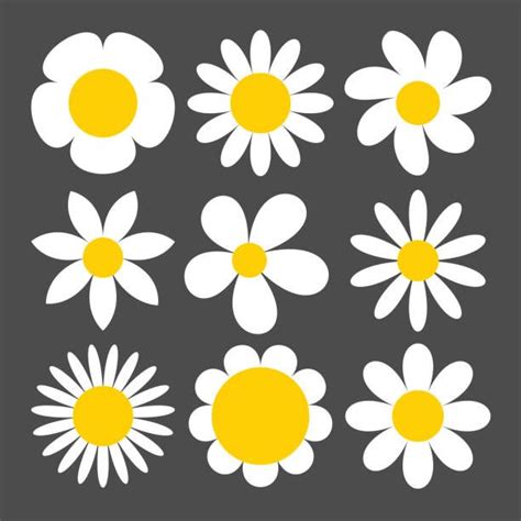 579+ Layered Daisy Svg - SVG,PNG,EPS & DXF File Include