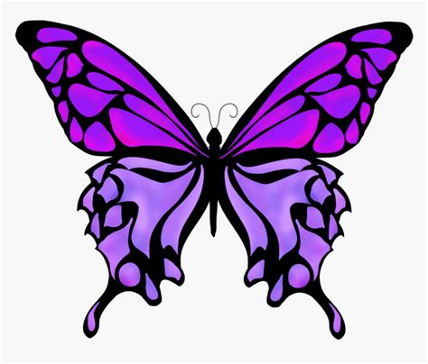 Easy Butterfly Drawing With Colour - Marian-Nickjonasytu