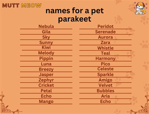 Names For A Pet Parakeet Mutt Meow
