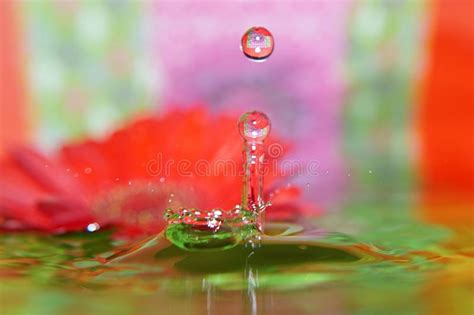 Water Drop Splashing In Water Stock Photo Image Of Backgrounds