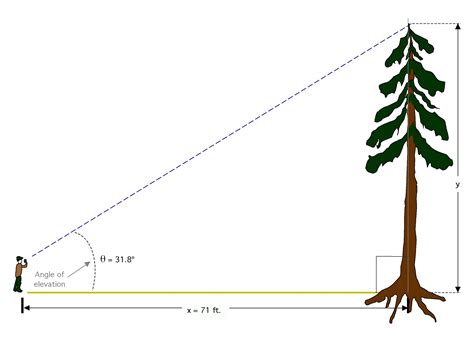 Tree Height Measuring Instruments Forestrypedia