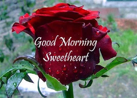 Make this morning different for someone you love. Good Morning images for Lover - Cute love wishes