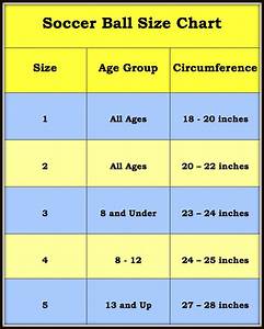 Soccer Ball Sizes The Official Standard Size For Men And Women
