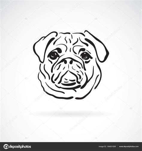 Vector Of Pug Dog Face On White Background Pet Animals Easy E Stock