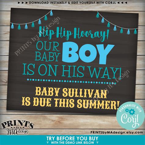Its A Boy Gender Reveal Sign Hip Hip Hooray Our Baby Boy Is On Her