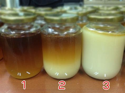 น้ำผึ้งแบบนี้น้ำผึ้งแท้หรือเปล่า?? หรือถูกหลอก - Pantip