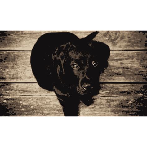Cricut Cut Instant Download Eps Vector Png Labrador Labrador Svg