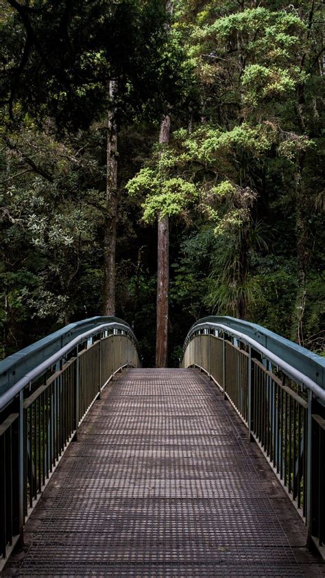 Forest Bridge Wallpapers Top Free Forest Bridge Backgrounds