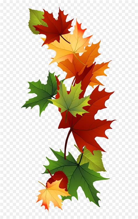 Leaf Fall Leaves Clip Art Beautiful Autumn Clipart Autumn Clipart