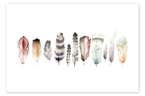 Feathers Print By Wandering Laur Posterlounge