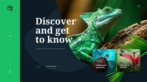 Best Looking Websites Designs You Always Want To See On Behance