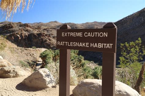 Guides - Palm Springs, CA - Hikes - Dave's Travel Corner