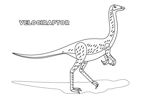 Dibujo Dinosaurio Velociraptor Para Colorear