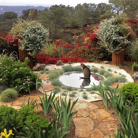 Today's top high country gardens discount: "Water" in the desert garden | Low water gardening, High ...