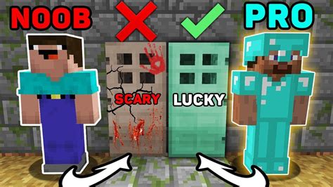 Minecraft Noob Vs Pro Which Door To Choose Noob And Pro Animation 3