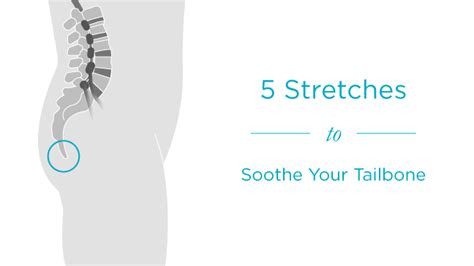 Tailbone Stretches For Pain And Support