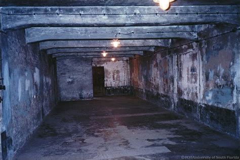 Gallery Auschwitz Photos