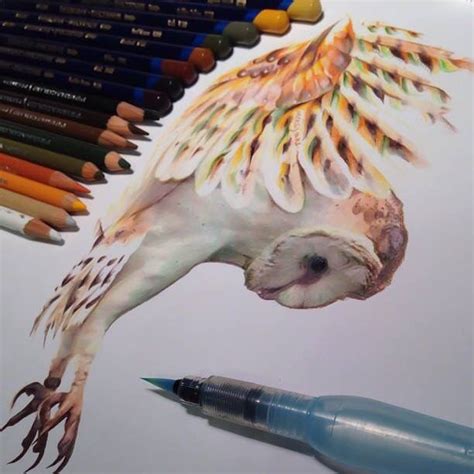 Owl Colored Pencils Art Photorealistic Drawings Realistic Animal