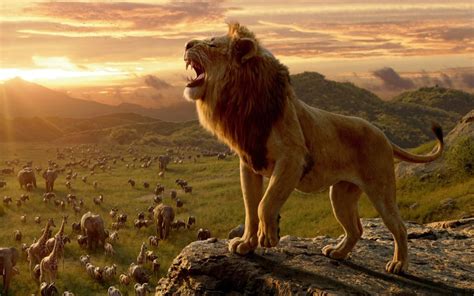Check spelling or type a new query. The Lion King 4K Background & Chrome Themes - LovelyTab
