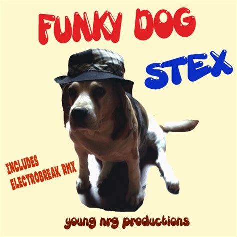Funky Dog By Stex On Mp3 Wav Flac Aiff And Alac At Juno Download