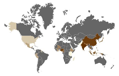 Worlds Top Ginger Producing Countries