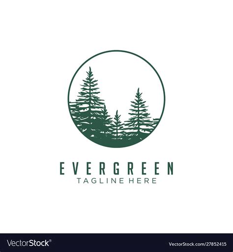 Evergreen Pines Spruce Cedar Trees Logo Design Vector Image