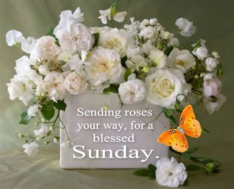 Blessed Sunday Send Roses Blessed Sunday Blessed