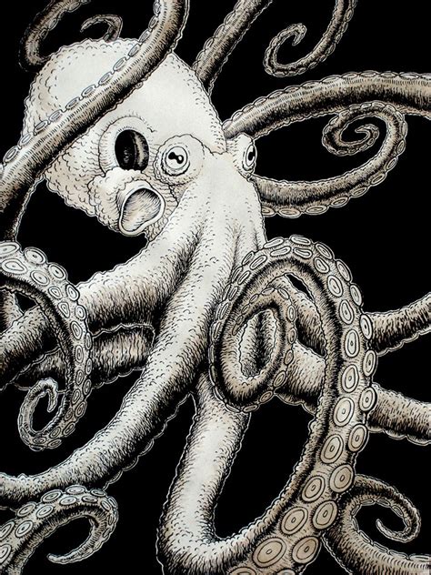 Octopus Art Octopus By Rode Egel Traditional Art Drawings Animals