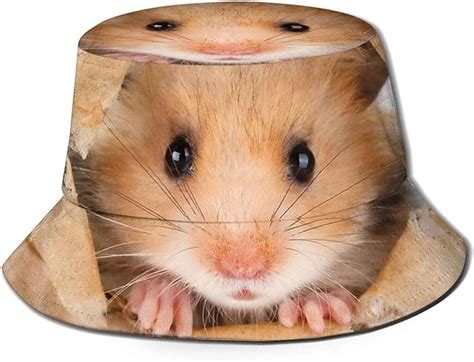 Hamster Peeping Unisex Bucket Hat Reversible Fisherman Hat Packable Sun
