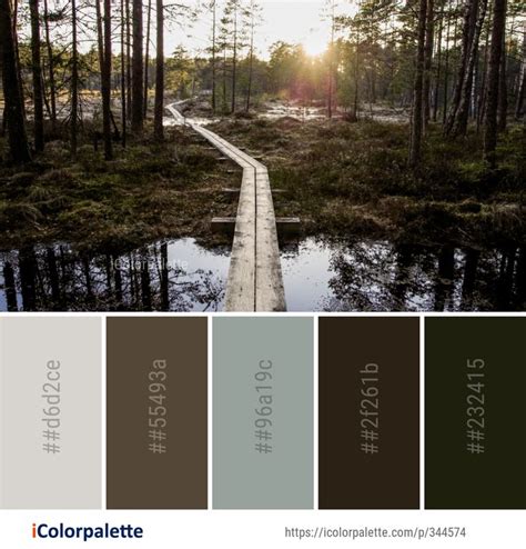 Color Palette Ideas From Nature Sky Ecosystem Image Icolorpalette