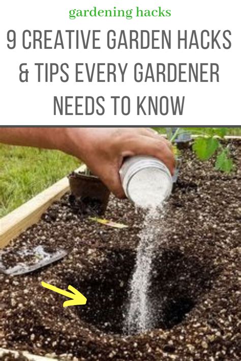 9 creative garden hacks and tips that every gardener should know gardening tips gardening for