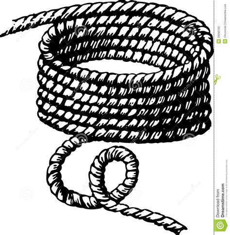 Images For Braided Rope Drawing Rope Drawing Drawings Art