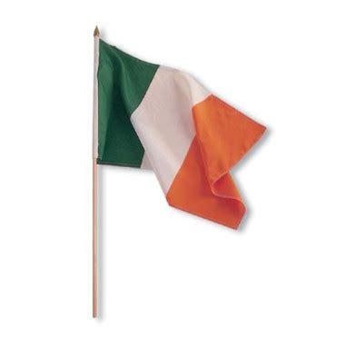 The irish flag is probably the most internationally recognized emblem of ireland, the harp the irish flag is a tricolor boasting vertical stripes of green and orange, separated by white that symbolizes the. Irish Flag on a Stick 30 x 40 cm
