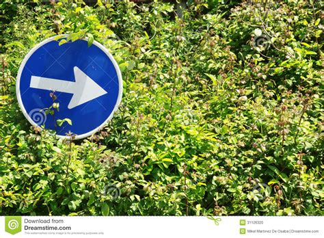 One Way Obligatory Direction Traffic Sign Stock Photo