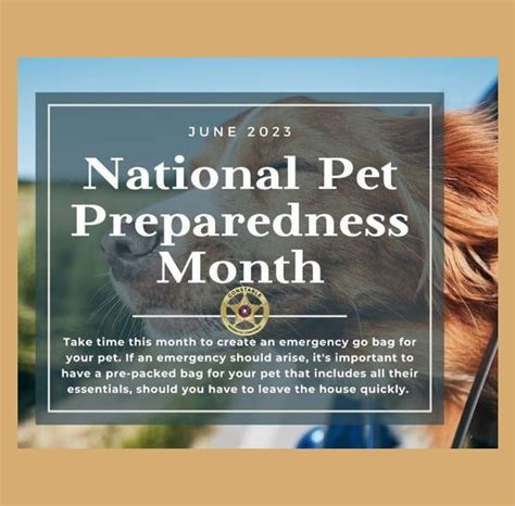 Tips Of National Pet Preparedness Month
