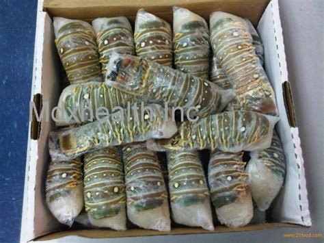 It is worth paying attention to special. Frozen Lobsters products,United States Frozen Lobsters ...