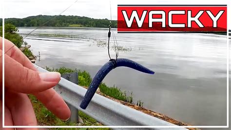 Bass Fishing With Plastic Worms Braided Line YUM Dinger Wacky Rig