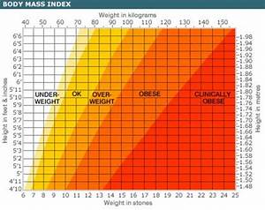 How To Calculate Bmi Are You Overweight Caloriebee