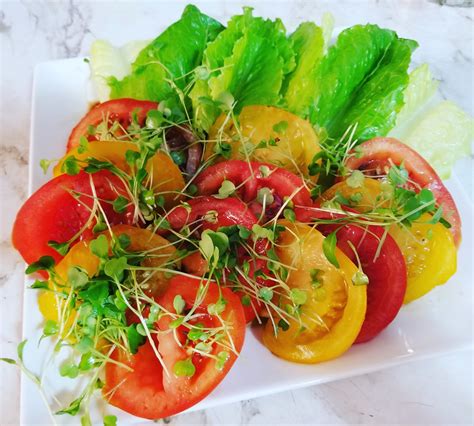 We did not find results for: Arugula Microgreens Recipes | Besto Blog