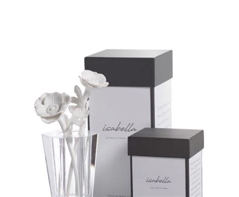 Zodax Isabella Porcelain Diffuser T Set Moroccan Peony Modern Art