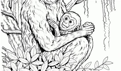 Get This Monkey Coloring Pages Detailed And Realistic For Adults 67413