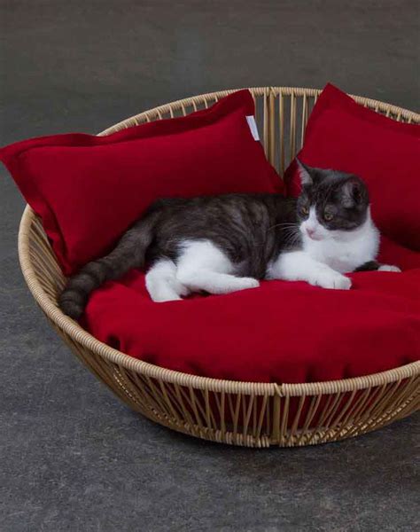 Beautiful modern cat bedding from poland with contemporary prints and colors. Modern cat bed Siro Saleen, a comfortable orthopaedic cat bed.
