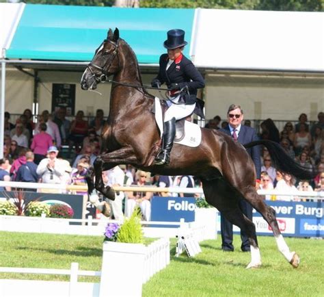 10 Horses Behaving Badly Wide Open Pets Horses Burghley Horse
