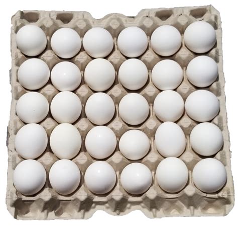 Jumbo White Eggs Goffle Road Poultry Farm
