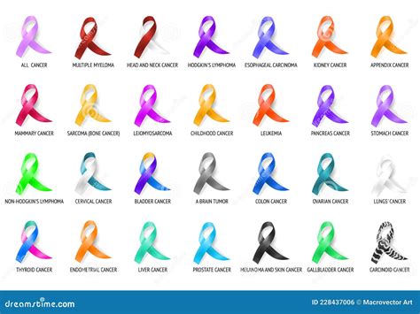 All Cancer Ribbon Set Stock Vector Illustration Of Colorful 228437006