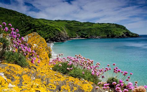 Polridmouth Beach Cornwall England Rocks Coast Flowers Landscape Photo