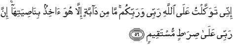 (sesungguhnya aku bertawakal kepada allah, rabbku dan rabb kalian. Quran surah Hud 56 (QS 11: 56) in arabic and english ...